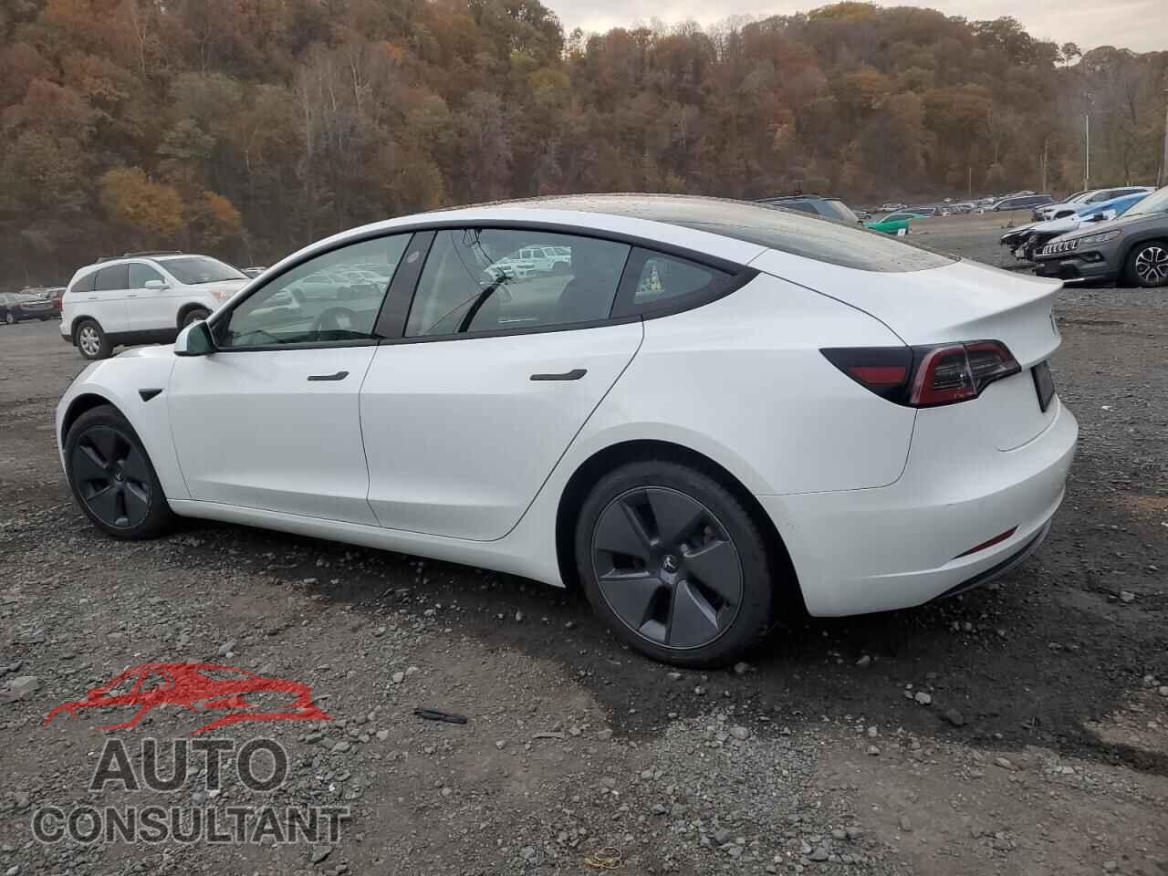 TESLA MODEL 3 2021 - 5YJ3E1EB6MF974801