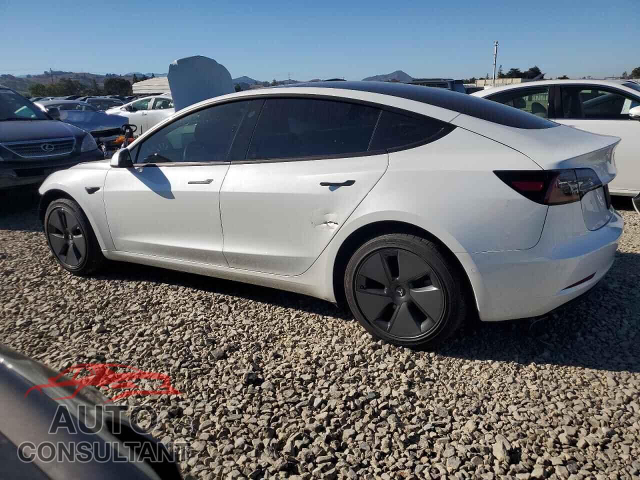 TESLA MODEL 3 2022 - 5YJ3E1EB4NF294977