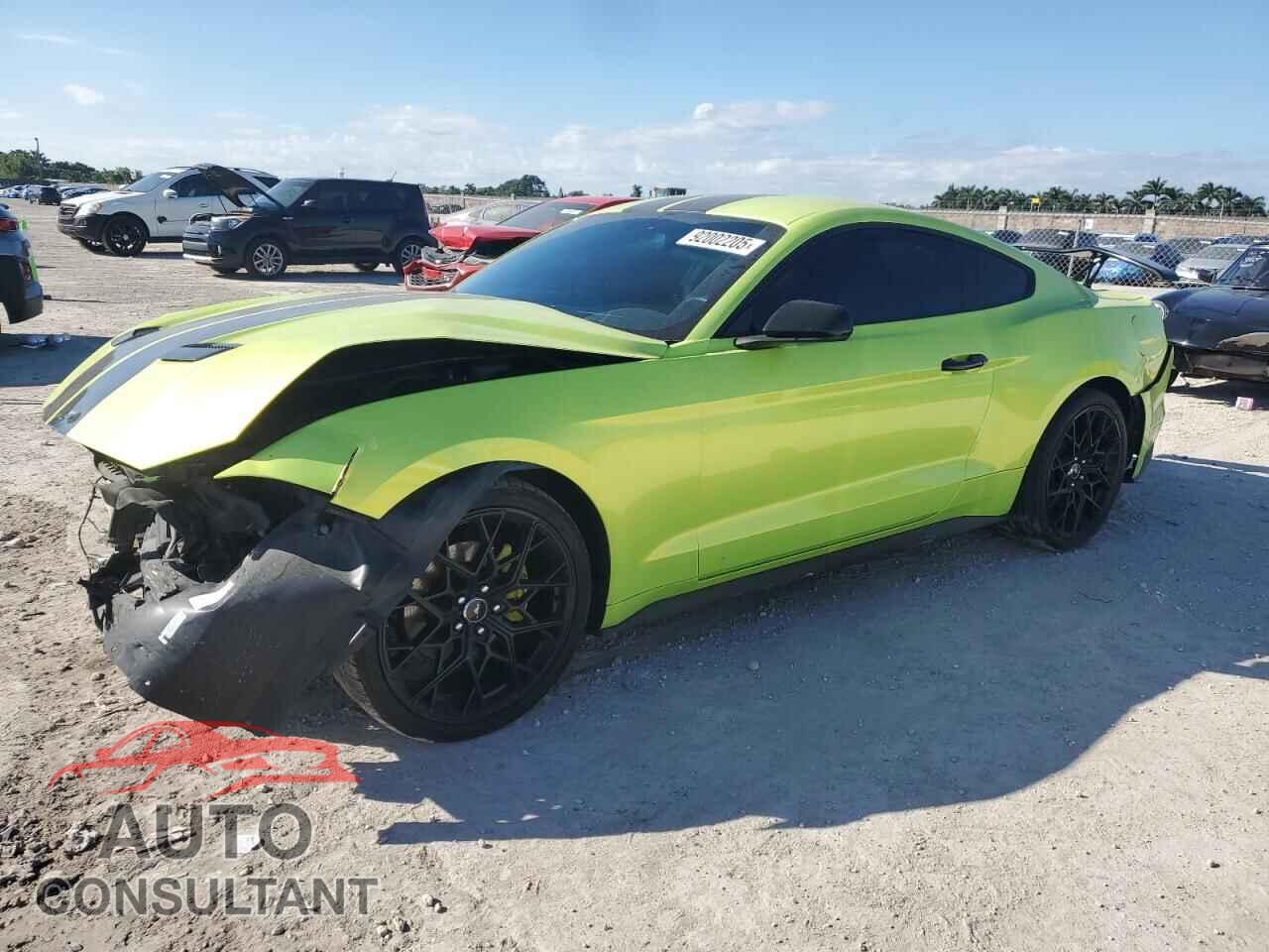 FORD ALL Models 2019 - 1FA6P8TH3K5181211