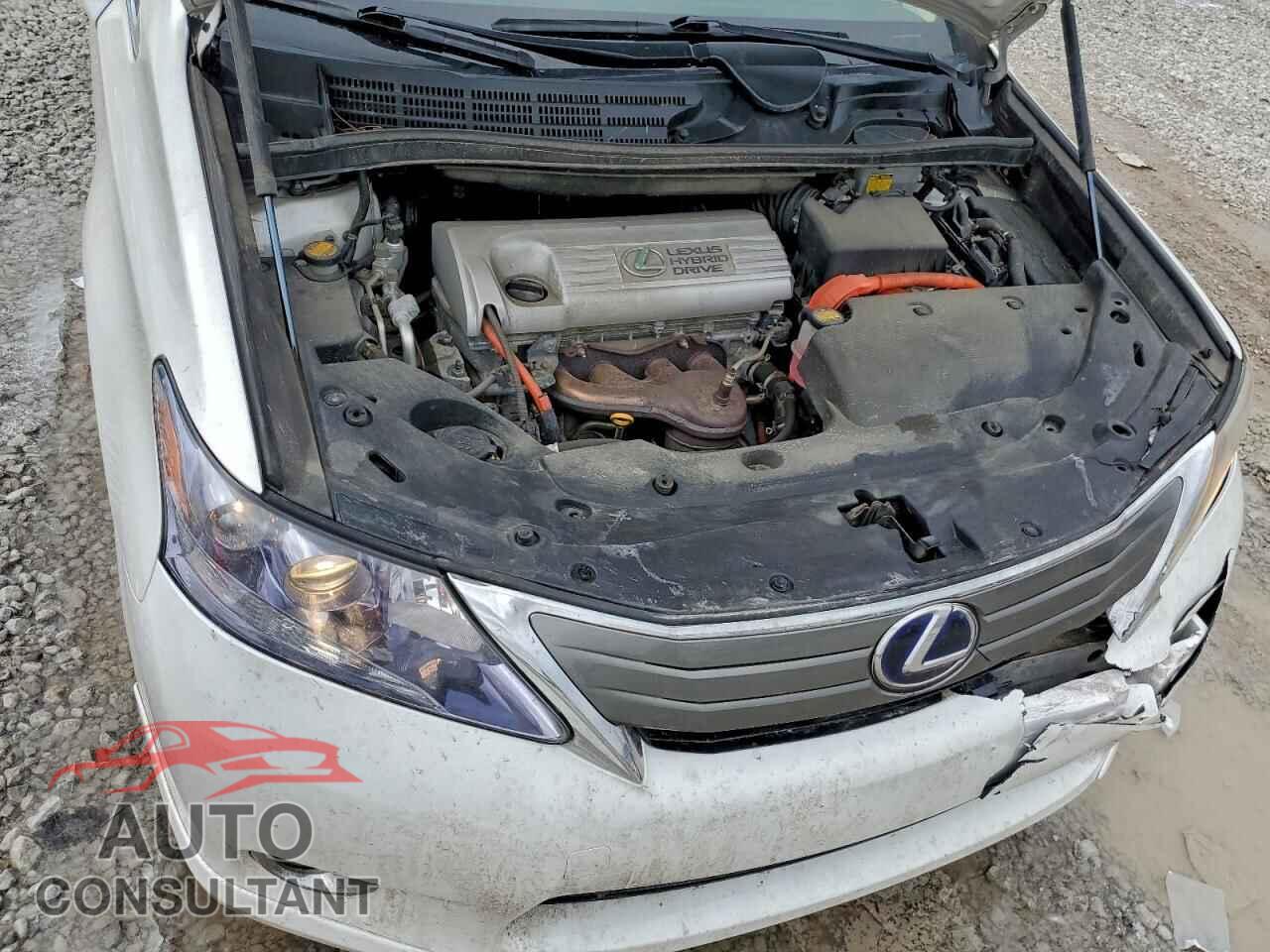 LEXUS HS 2010 - JTHBB1BA1A2001855