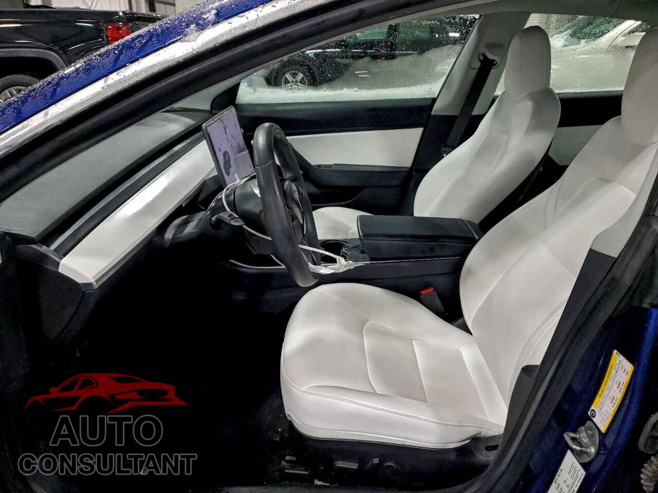 TESLA MODEL 3 2019 - 5YJ3E1EA1KF509153