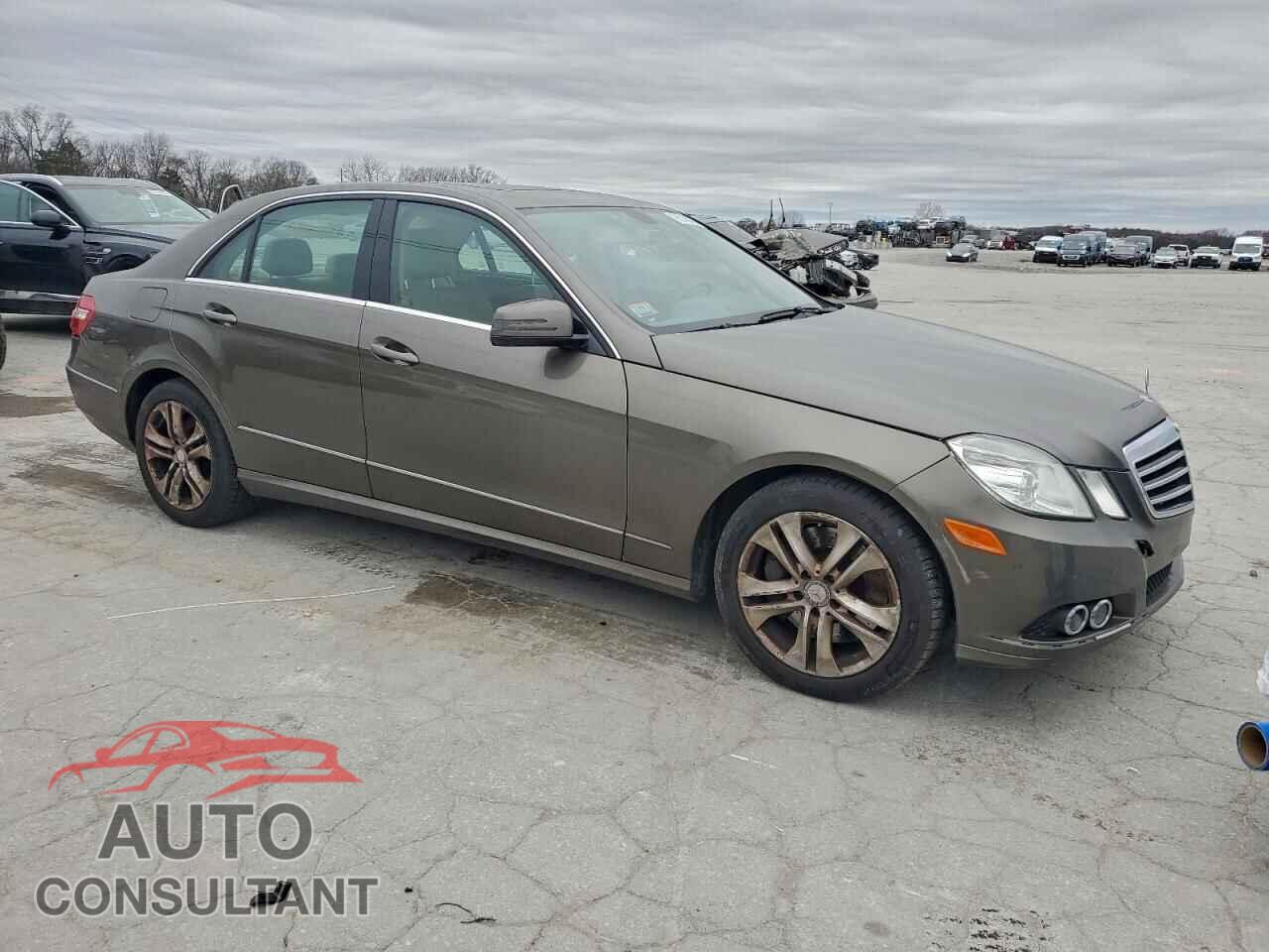MERCEDES-BENZ E-CLASS 2010 - WDDHF9AB8AA239125