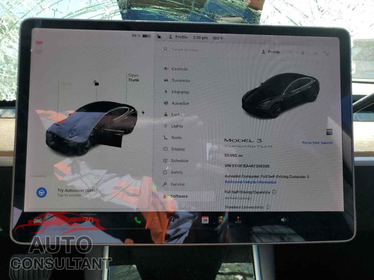 TESLA MODEL 3 2019 - 5YJ3E1EA4KF306306