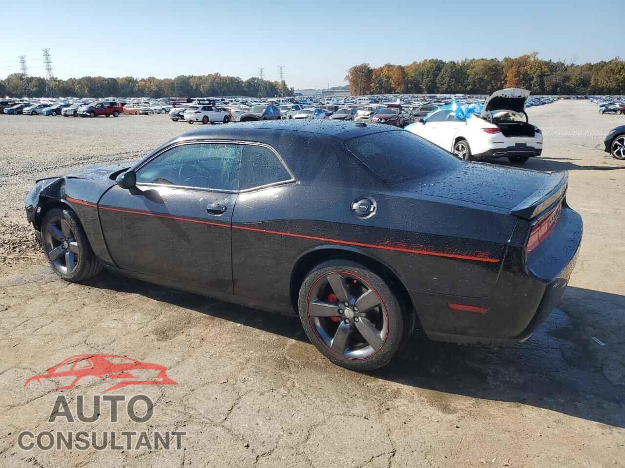 DODGE CHALLENGER 2013 - 2C3CDYBTXDH680826