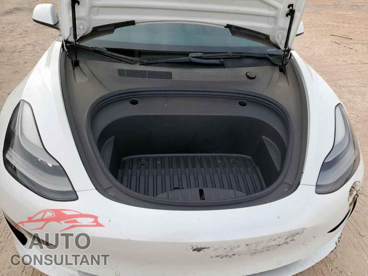 TESLA MODEL 3 2021 - 5YJ3E1EA3MF100736