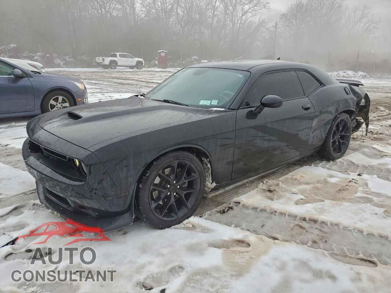DODGE CHALLENGER 2019 - 2C3CDZJG6KH591939