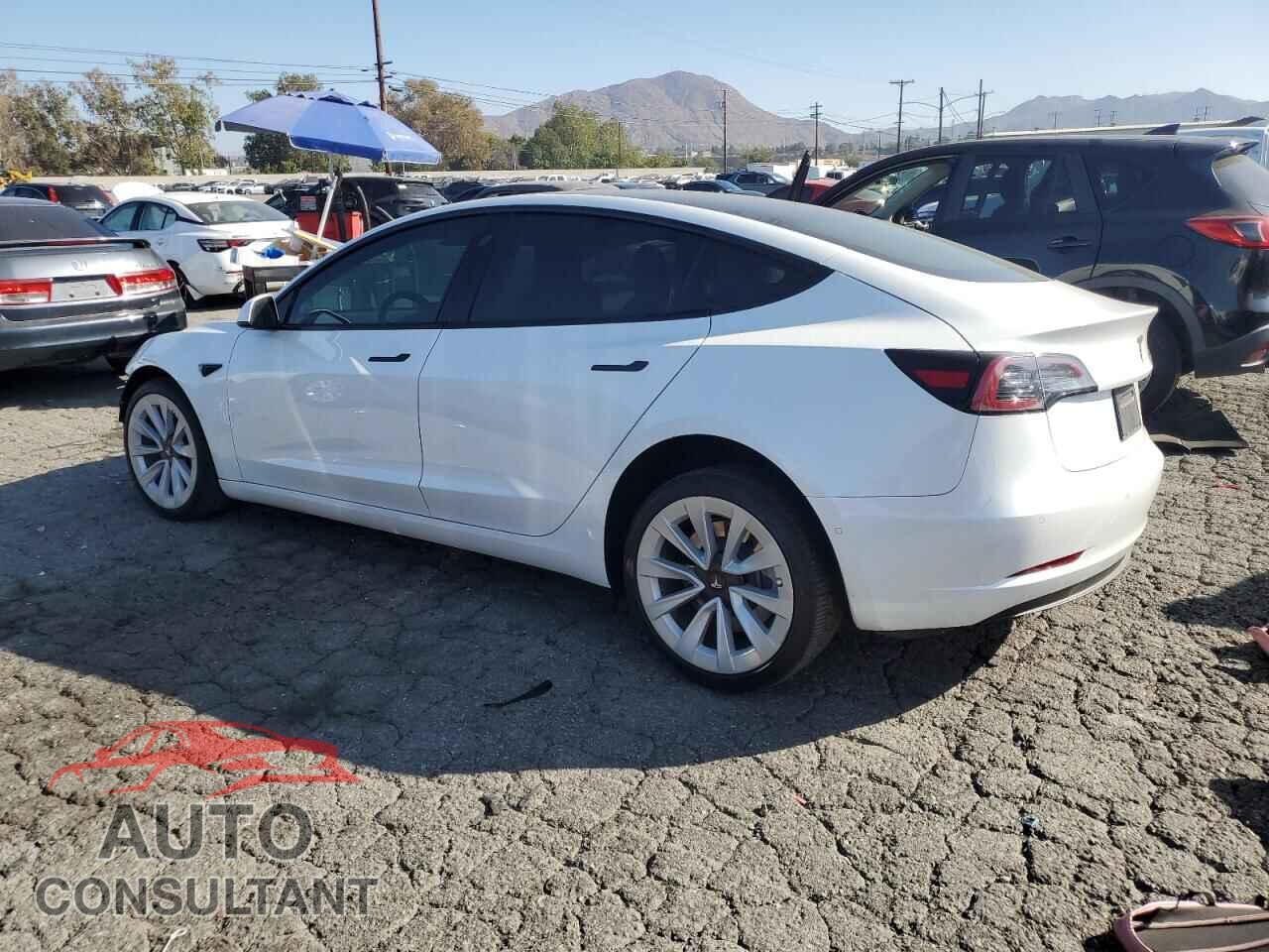 TESLA MODEL 3 2021 - 5YJ3E1EA1MF062956