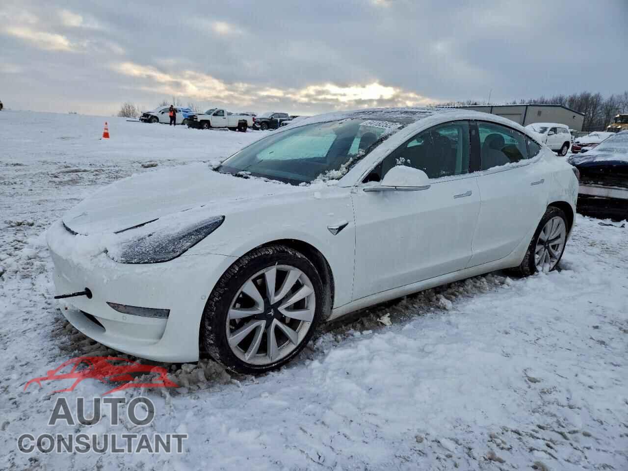TESLA MODEL 3 2020 - 5YJ3E1EB4LF667335