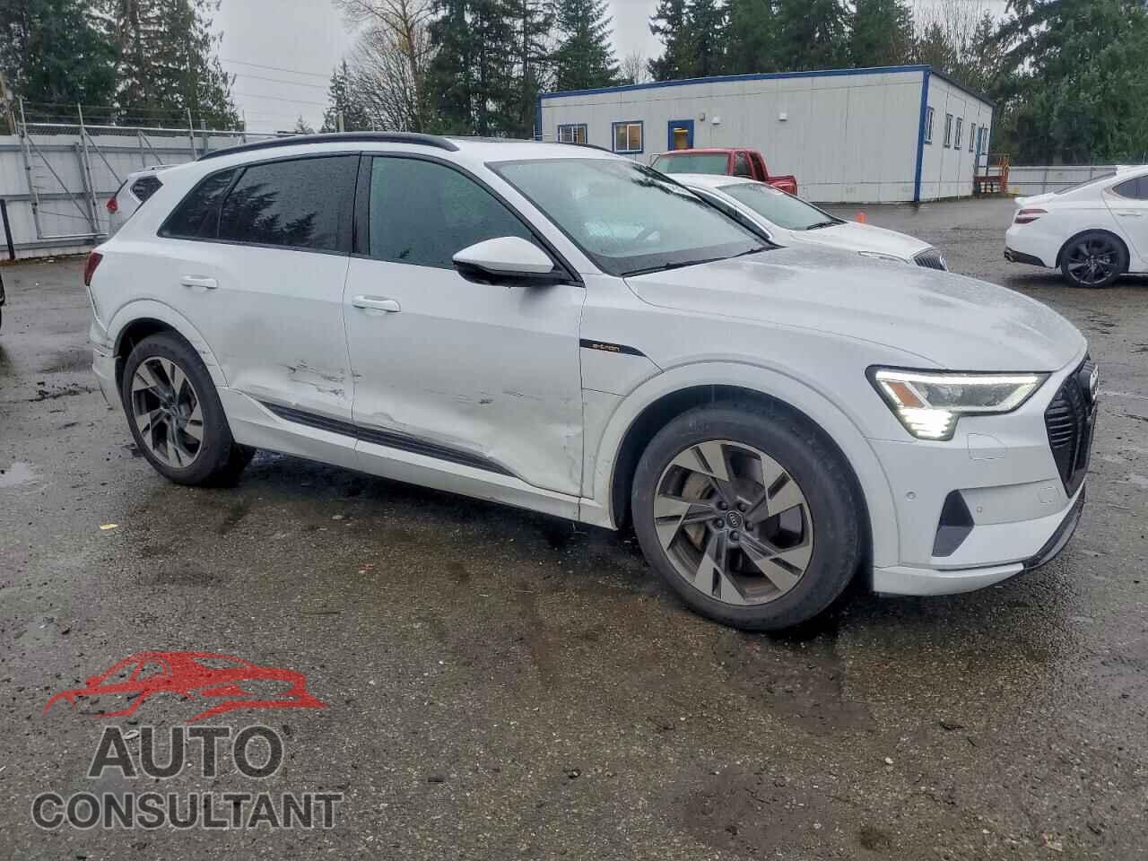 AUDI E-TRON 2022 - WA1AAAGE2NB014061