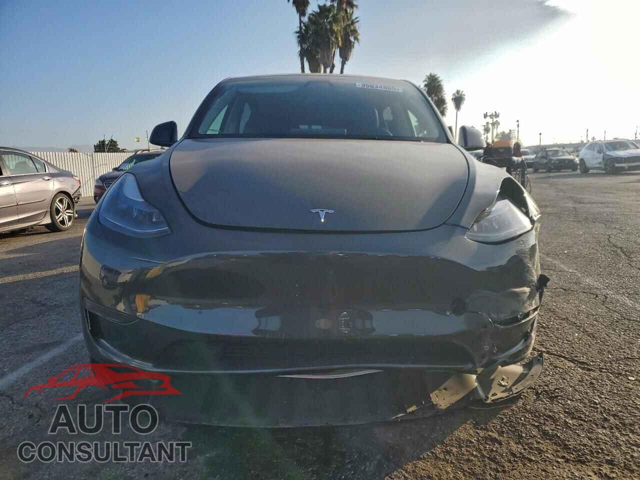TESLA MODEL Y 2024 - 7SAYGDED7RF097586