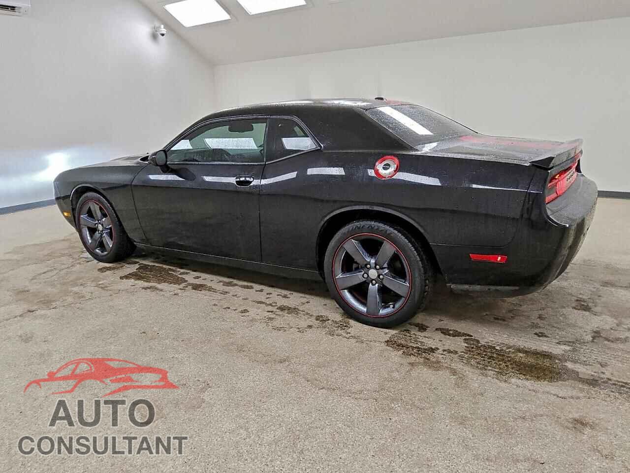 DODGE CHALLENGER 2013 - 2C3CDYAG3DH628992