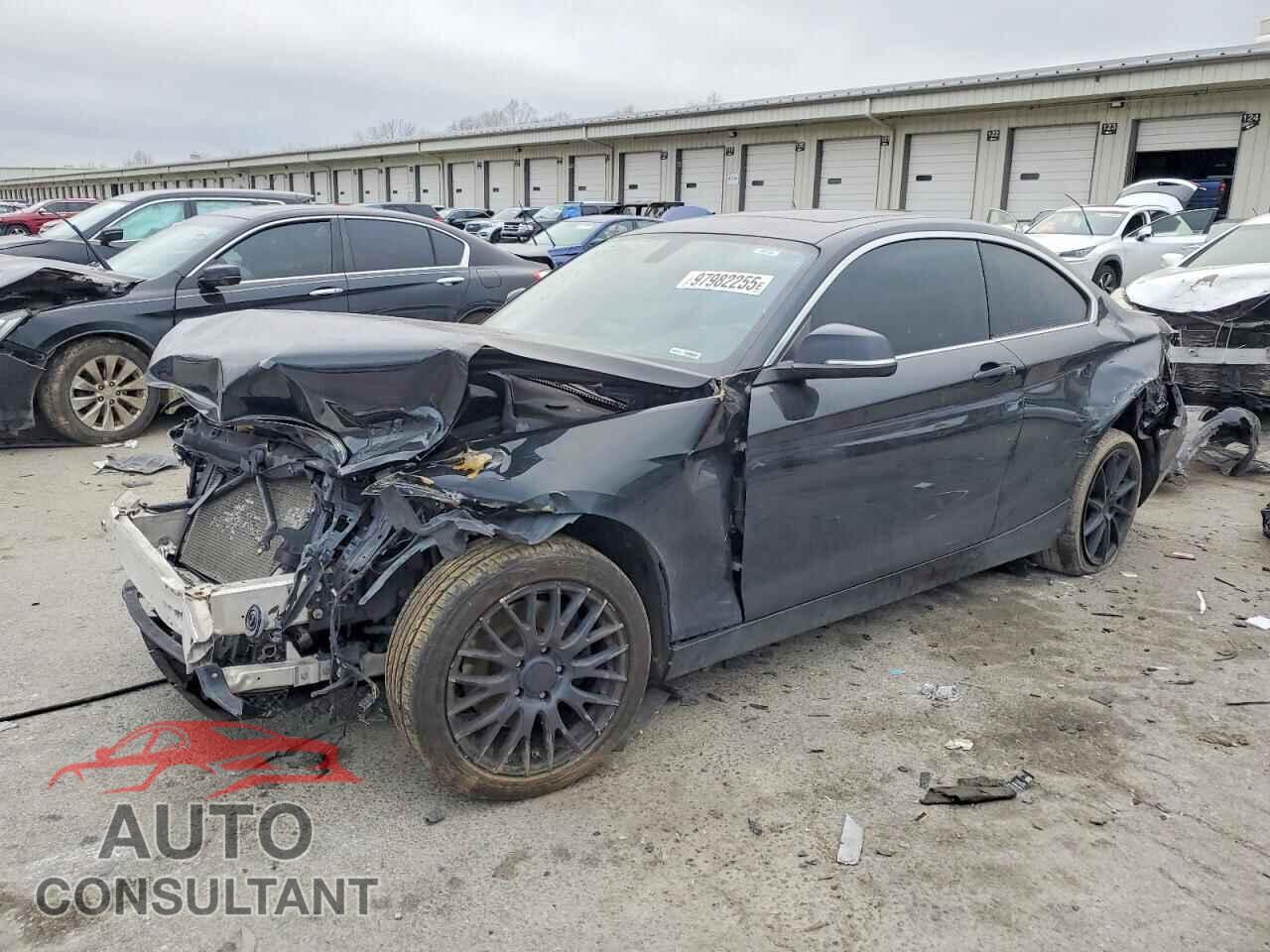 BMW 2 SERIES 2015 - WBA1F7C58FVX96377
