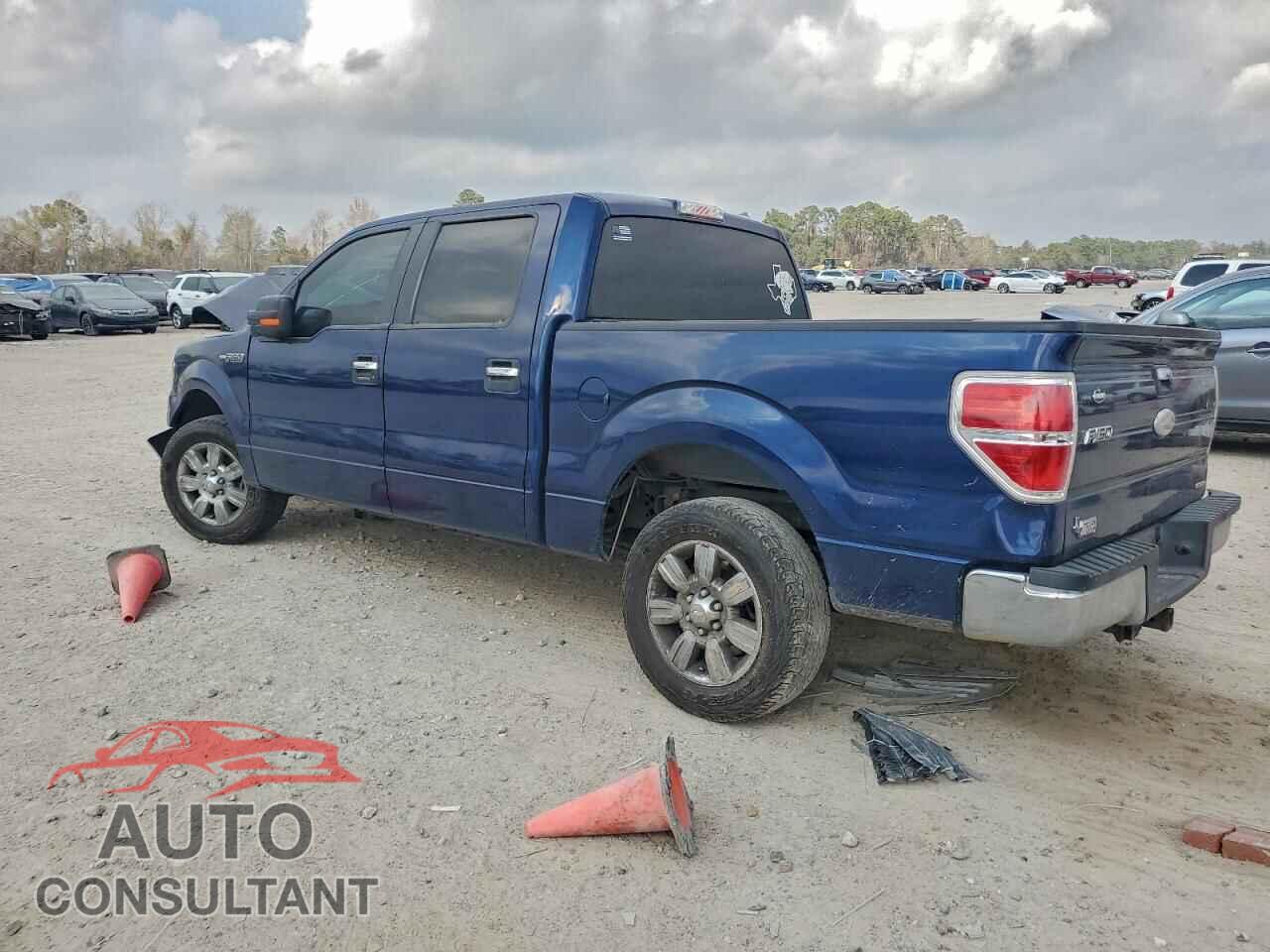 FORD F-150 2012 - 1FTFW1CF8CFA85492