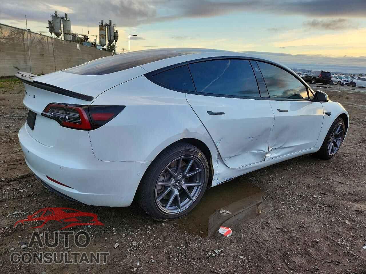 TESLA MODEL 3 2021 - 5YJ3E1EA1MF100489