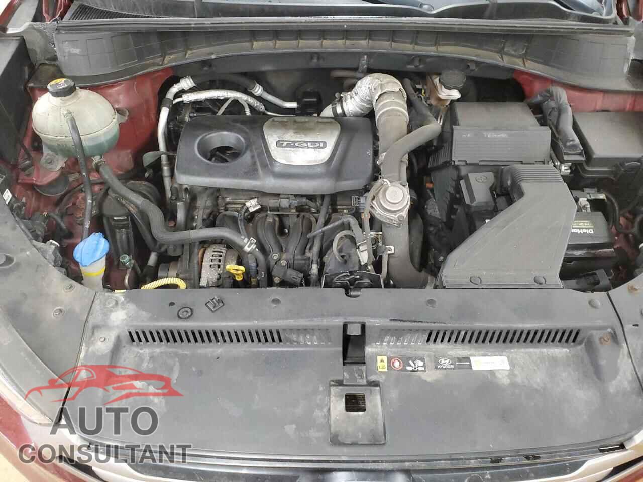 HYUNDAI TUCSON 2016 - KM8J33A21GU158794
