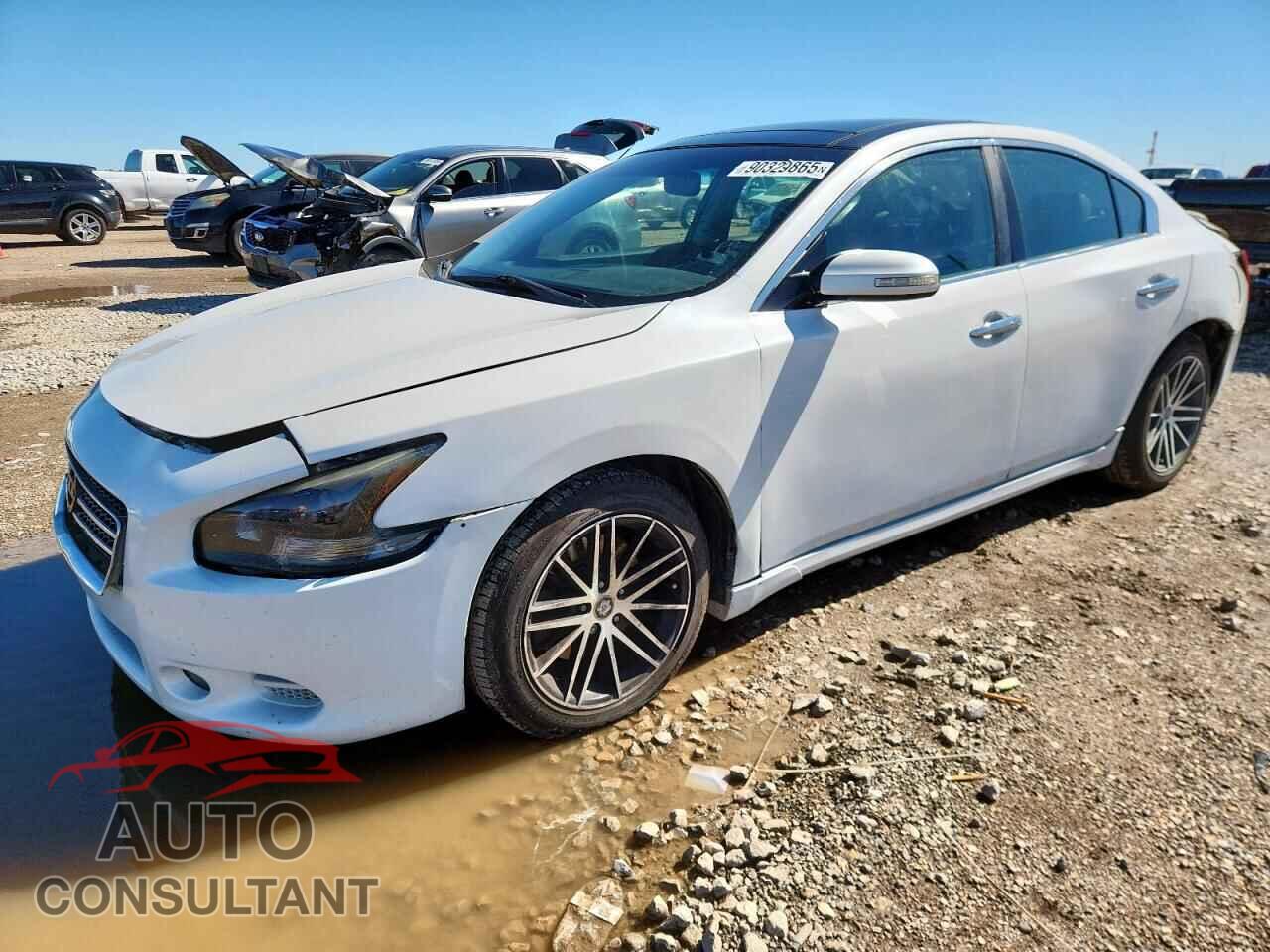 NISSAN MAXIMA 2011 - 1N4AA5AP2BC866039