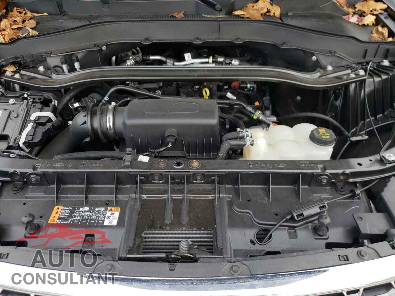 FORD EXPLORER 2023 - 1FMSK8FH0PGB18187
