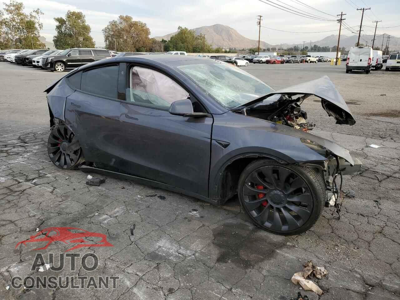 TESLA MODEL Y 2023 - 7SAYGDEFXPF813749