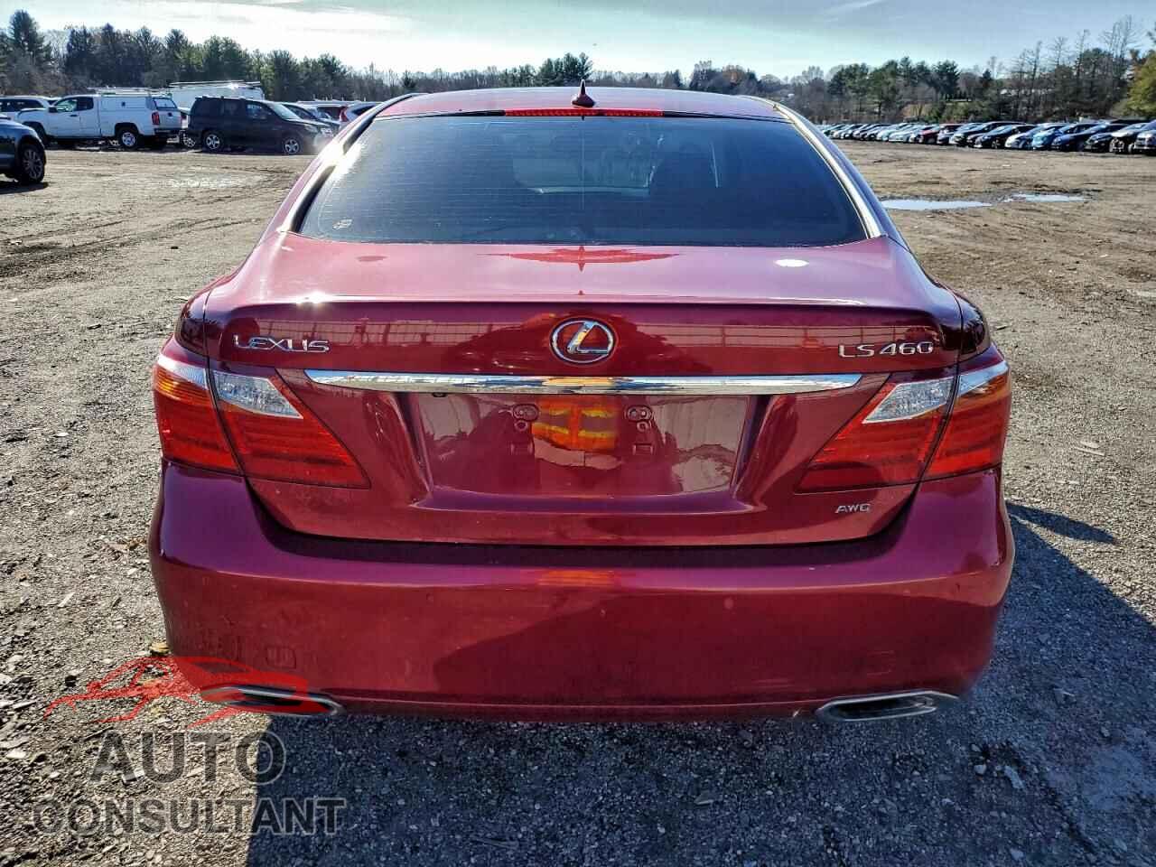 LEXUS LS460 2010 - JTHCL5EF0A5007029