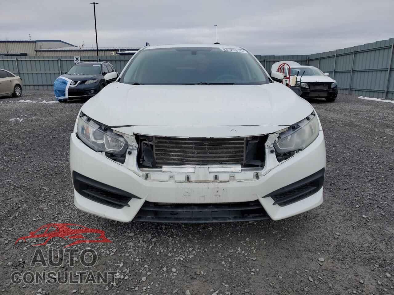 HONDA CIVIC 2016 - 2HGFC2F77GH011442