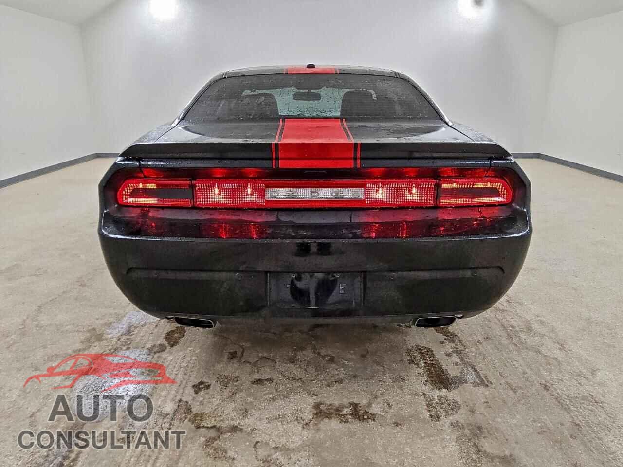DODGE CHALLENGER 2013 - 2C3CDYAG3DH628992