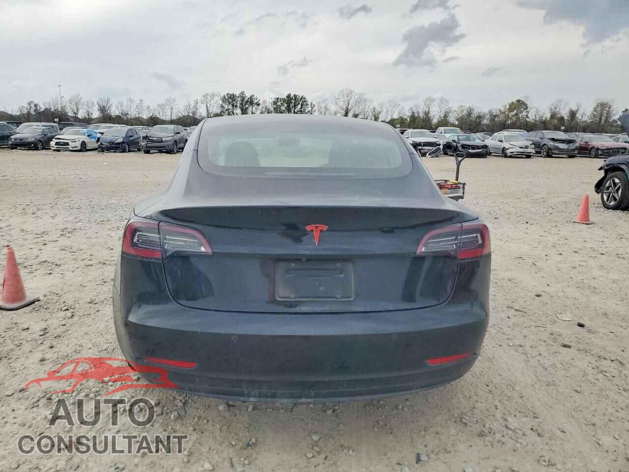 TESLA MODEL 3 2019 - 5YJ3E1EA2KF407425
