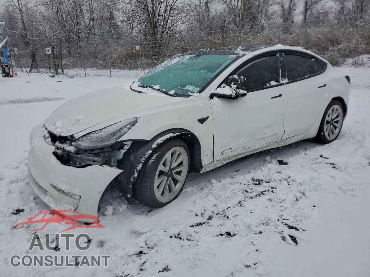 TESLA MODEL 3 2021 - 5YJ3E1EAXMF856774