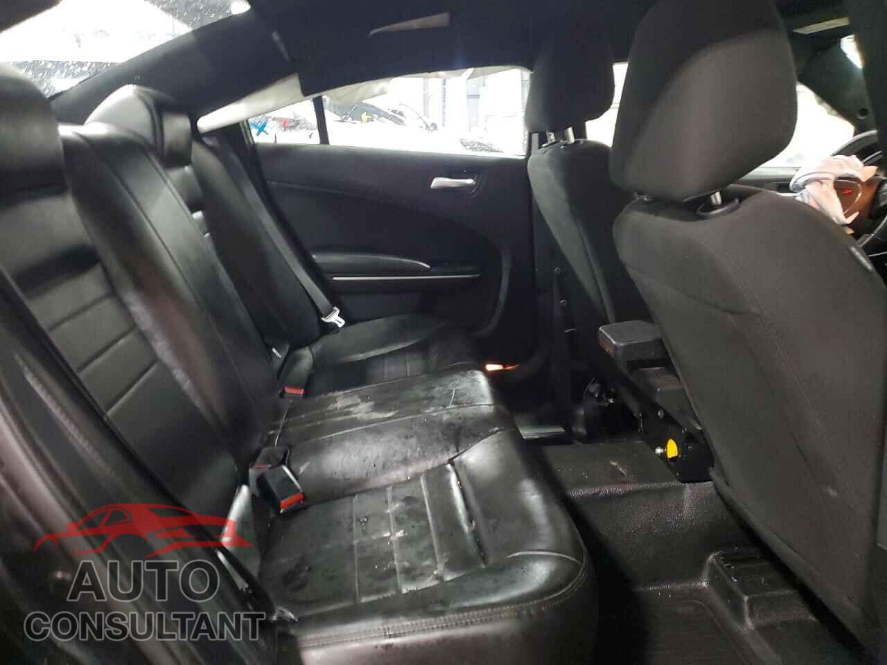 DODGE CHARGER 2019 - 2C3CDXKT8KH622804