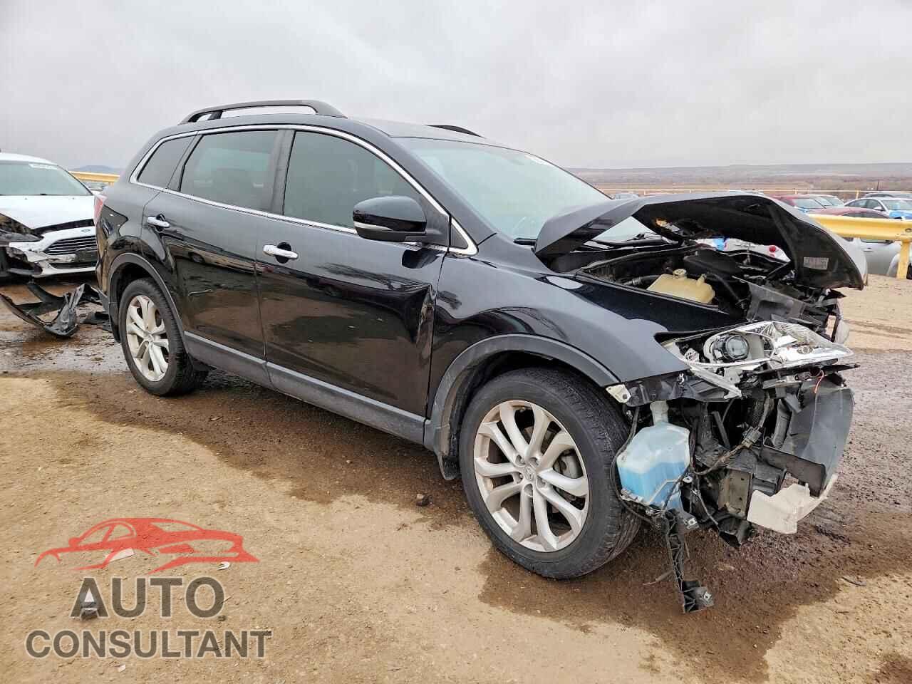 MAZDA CX-9 2011 - JM3TB3DV4B0300469