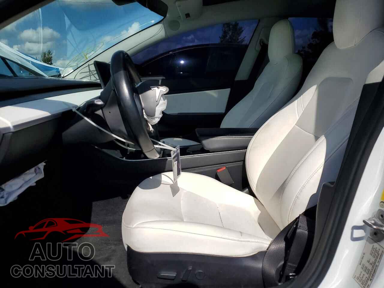 TESLA MODEL 3 2019 - 5YJ3E1EA3KF417722