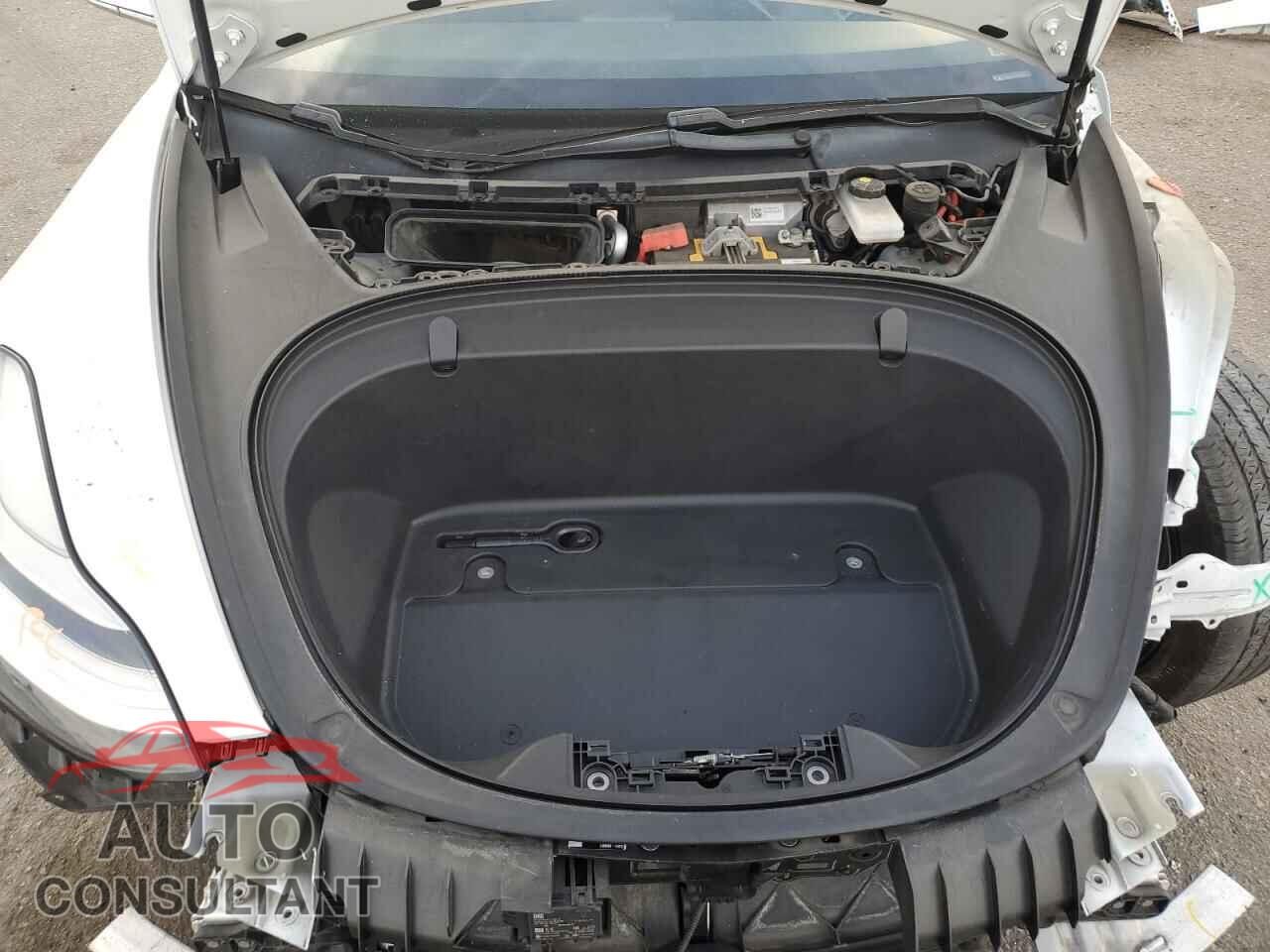 TESLA MODEL 3 2019 - 5YJ3E1EAXKF434534
