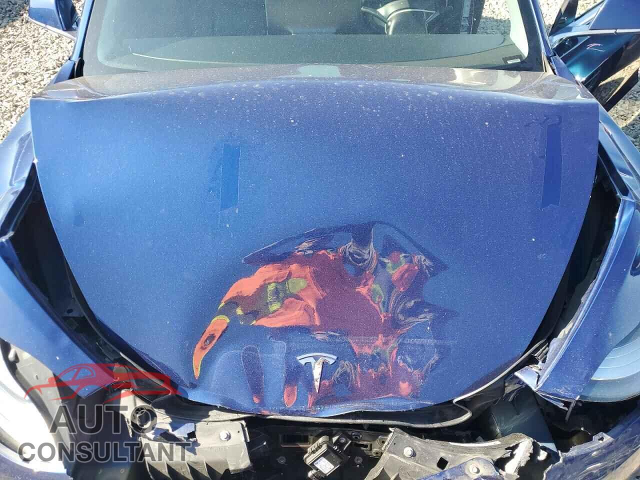 TESLA MODEL 3 2019 - 5YJ3E1EA0KF436096