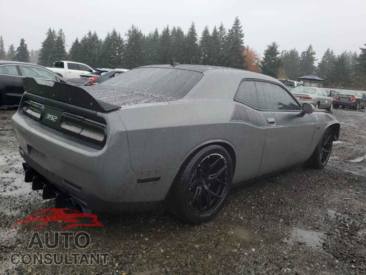 DODGE CHALLENGER 2017 - 2C3CDZFJ6HH550661
