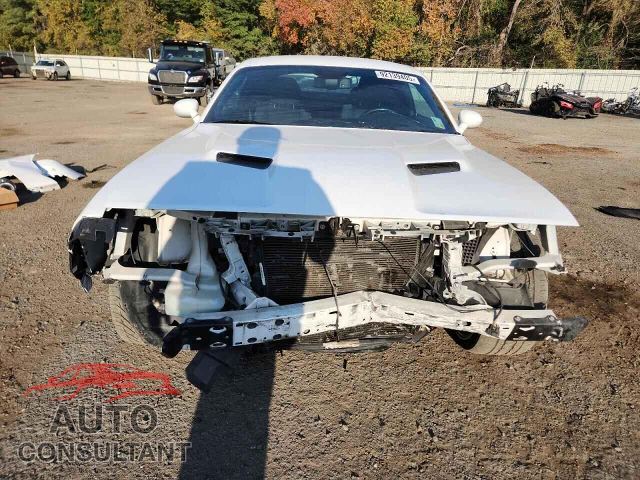 DODGE CHALLENGER 2018 - 2C3CDZAG9JH245687