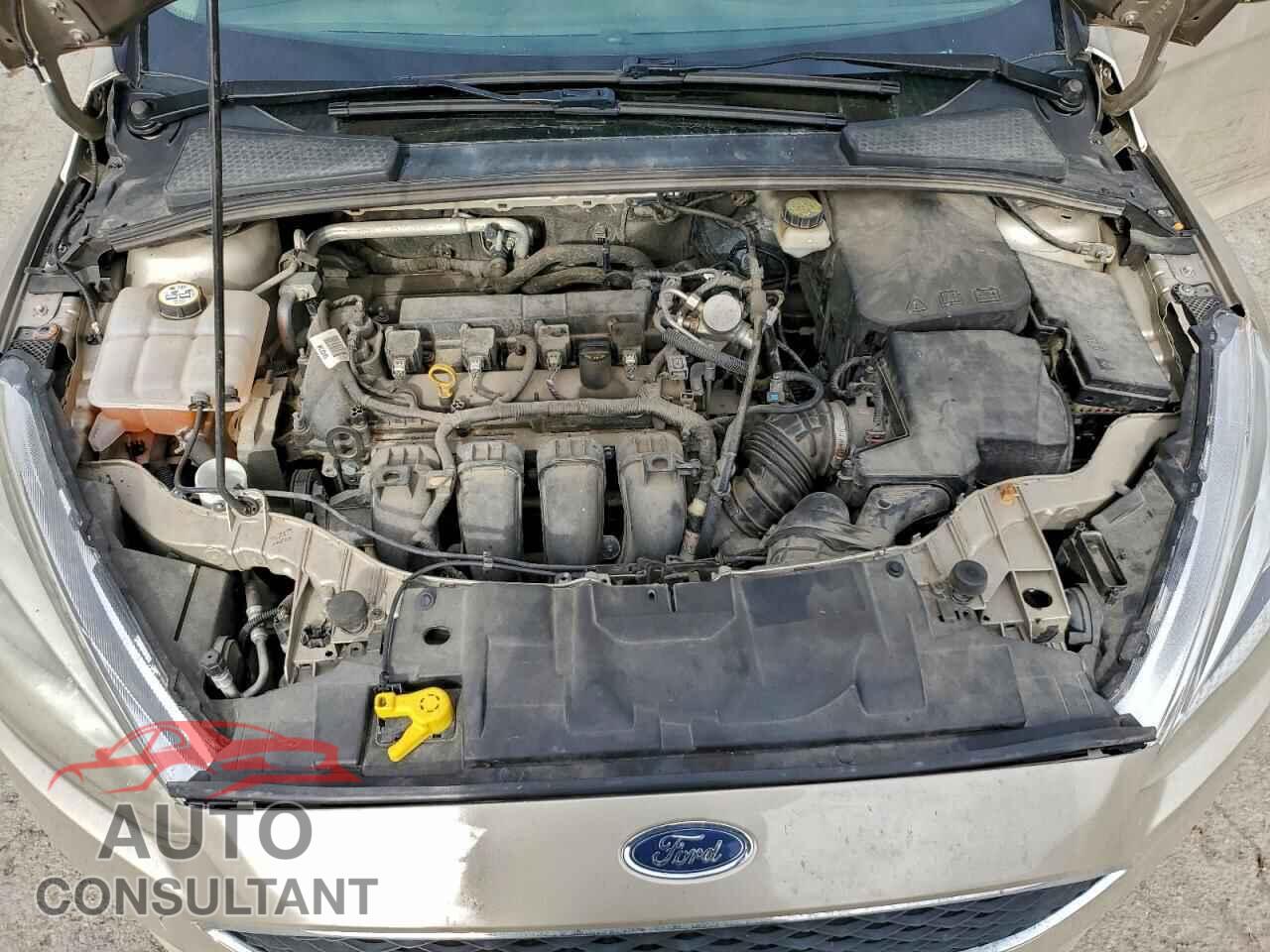 FORD FOCUS 2017 - 1FADP3F26HL317899