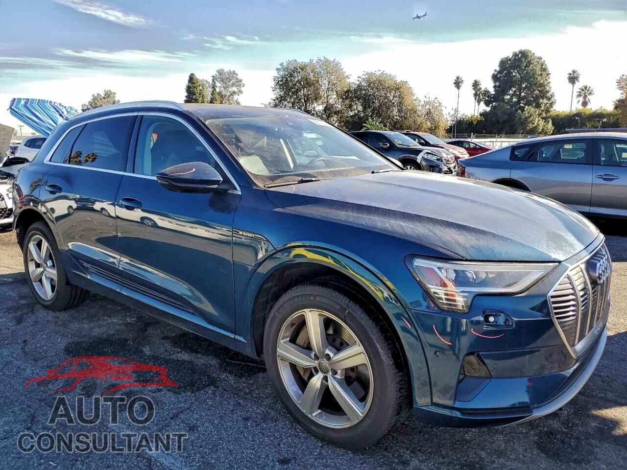 AUDI E-TRON 2019 - WA1LAAGE3KB021217