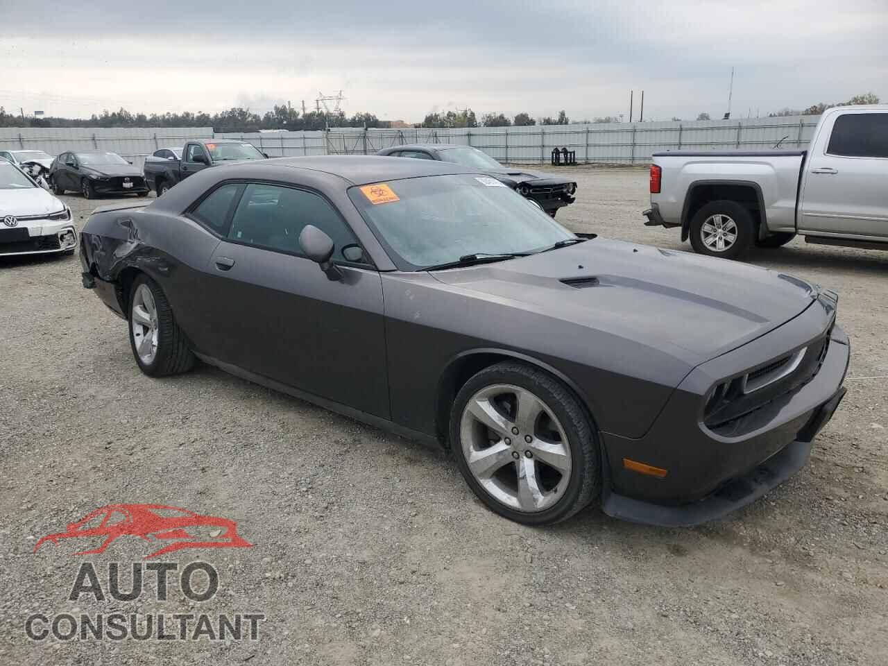 DODGE CHALLENGER 2013 - 2C3CDYAG9DH634487