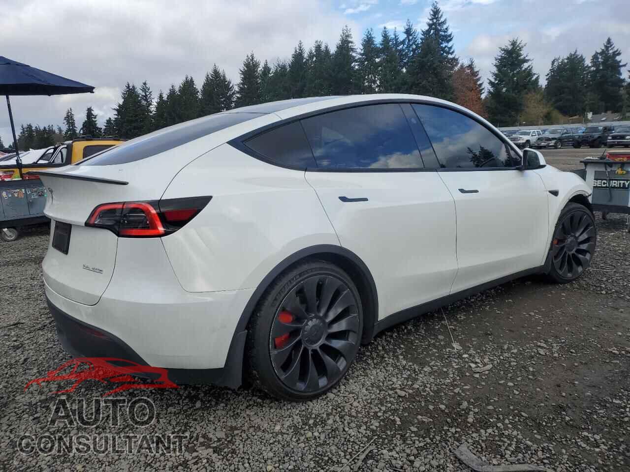 TESLA MODEL Y 2023 - 7SAYGDEF9PF816335