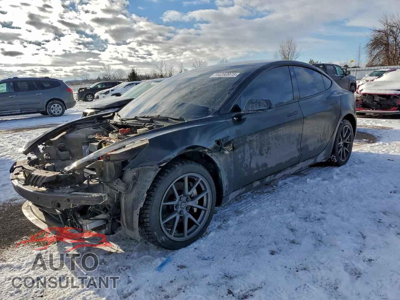 TESLA MODEL 3 2021 - 5YJ3E1EAXMF092943