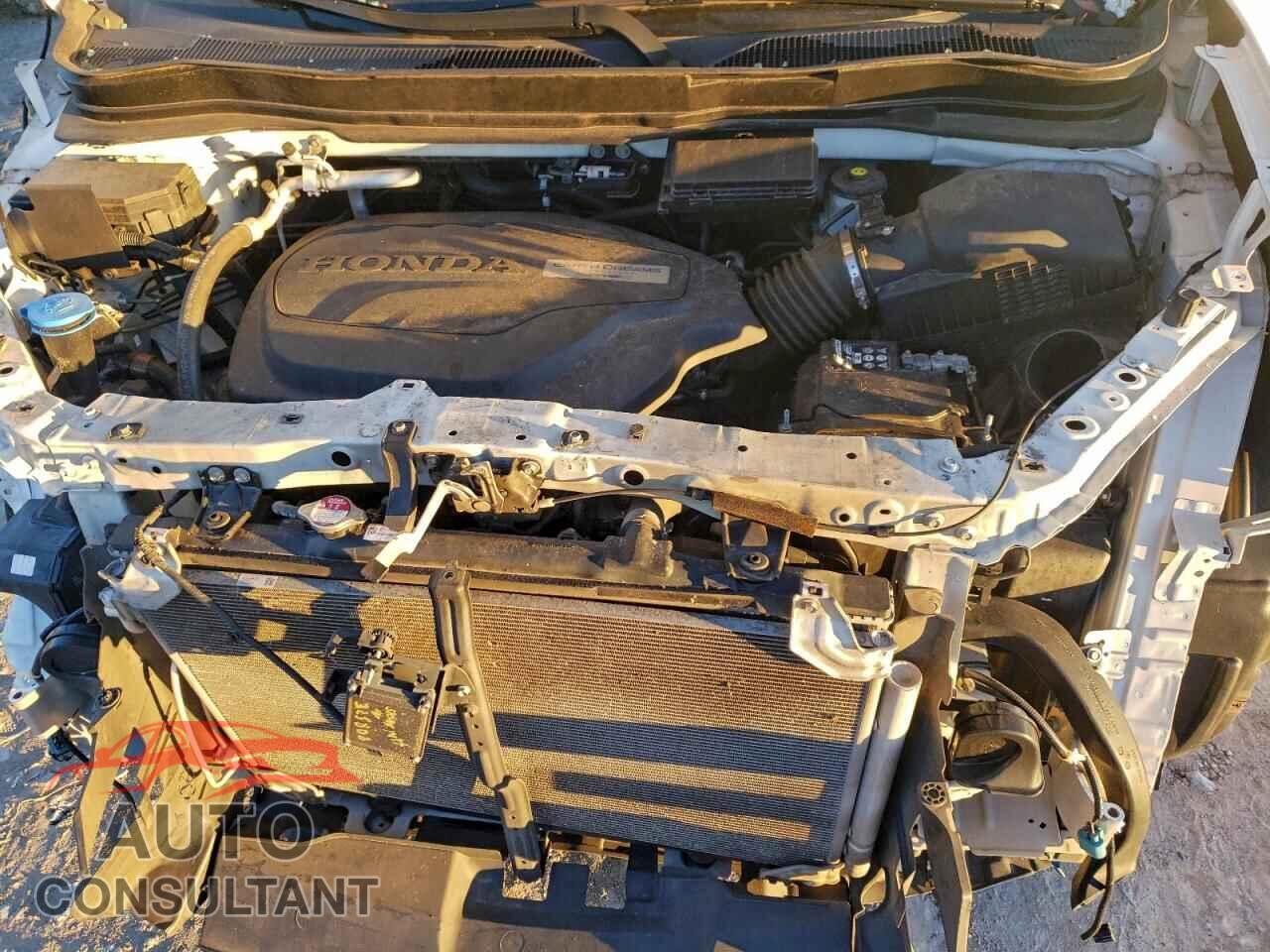 HONDA PILOT 2019 - 5FNYF5H3XKB000590