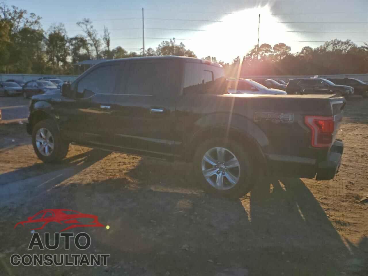 FORD F-150 2015 - 1FTEW1EF2FFA84156