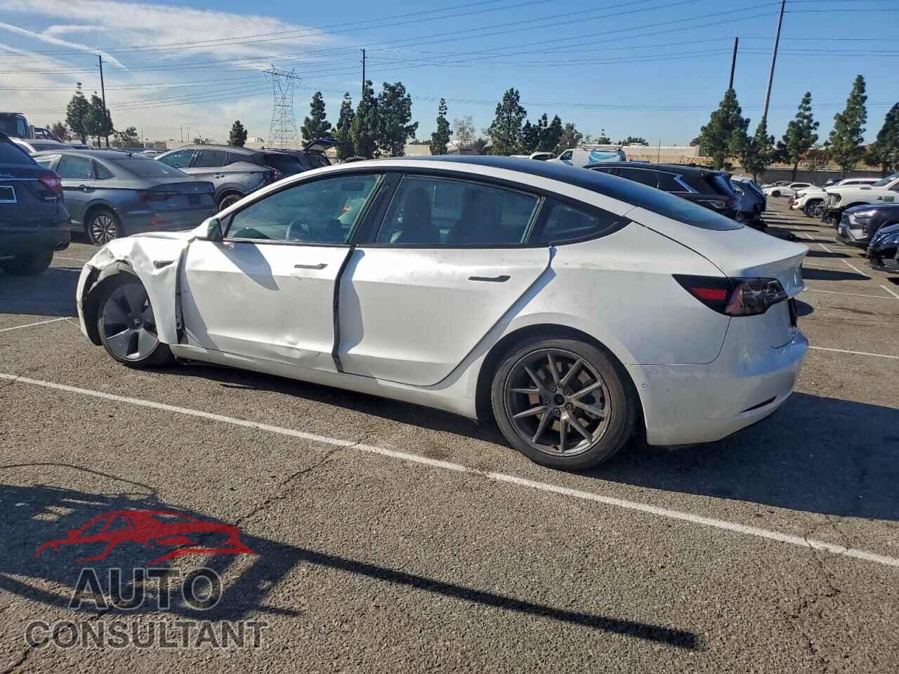 TESLA MODEL 3 2021 - 5YJ3E1EA0MF091011