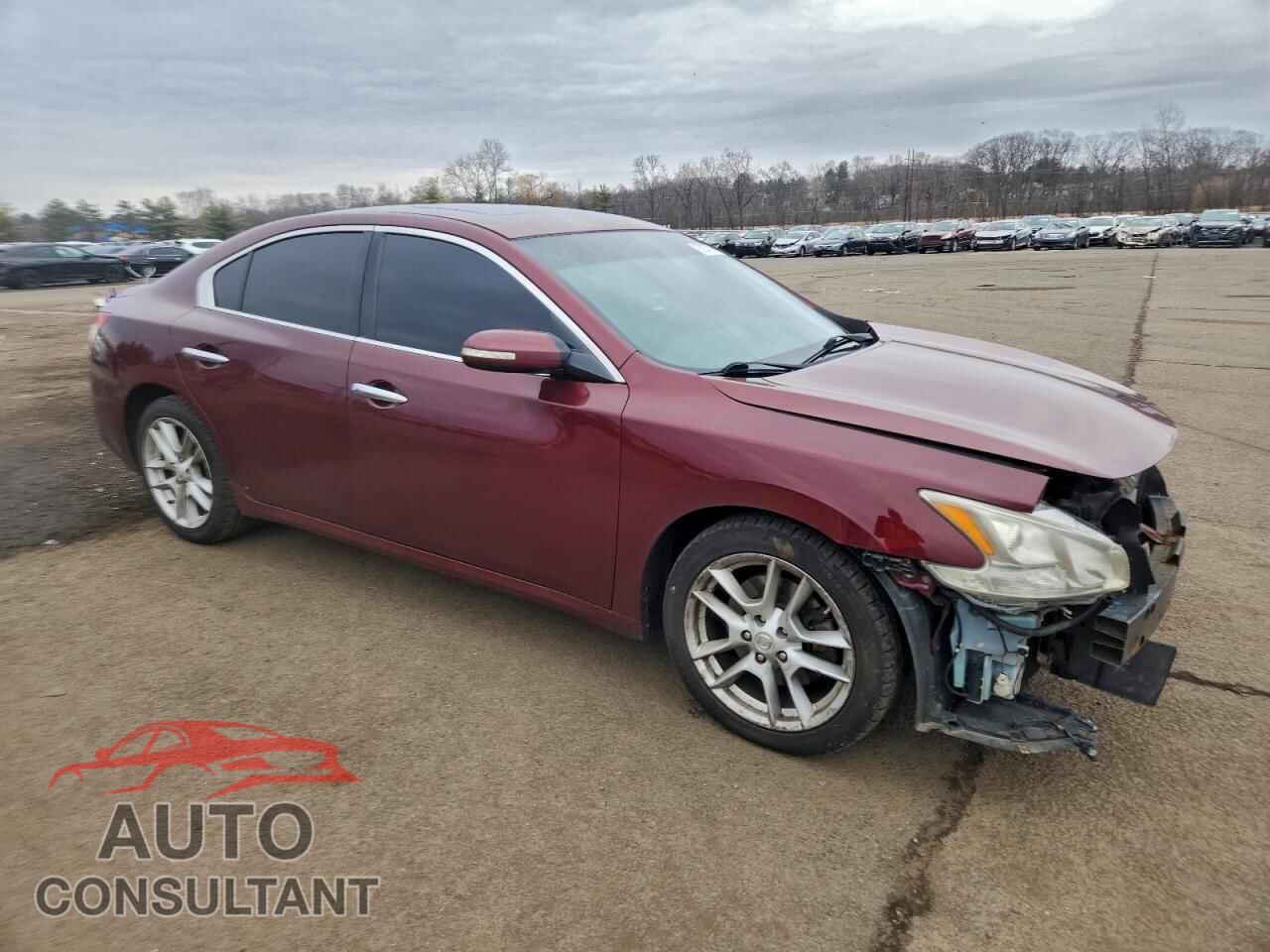 NISSAN MAXIMA 2009 - 1N4AA51E49C819782