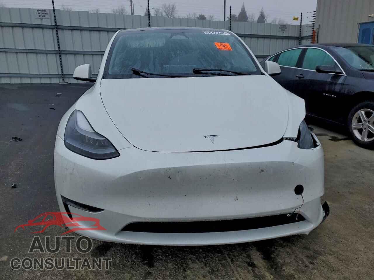 TESLA MODEL Y 2024 - 7SAYGDED9RF110760