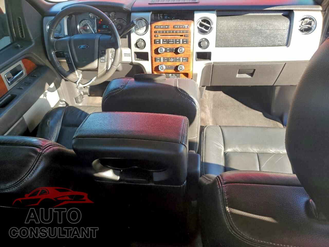 FORD F-150 2009 - 1FTPX14VX9FA99460
