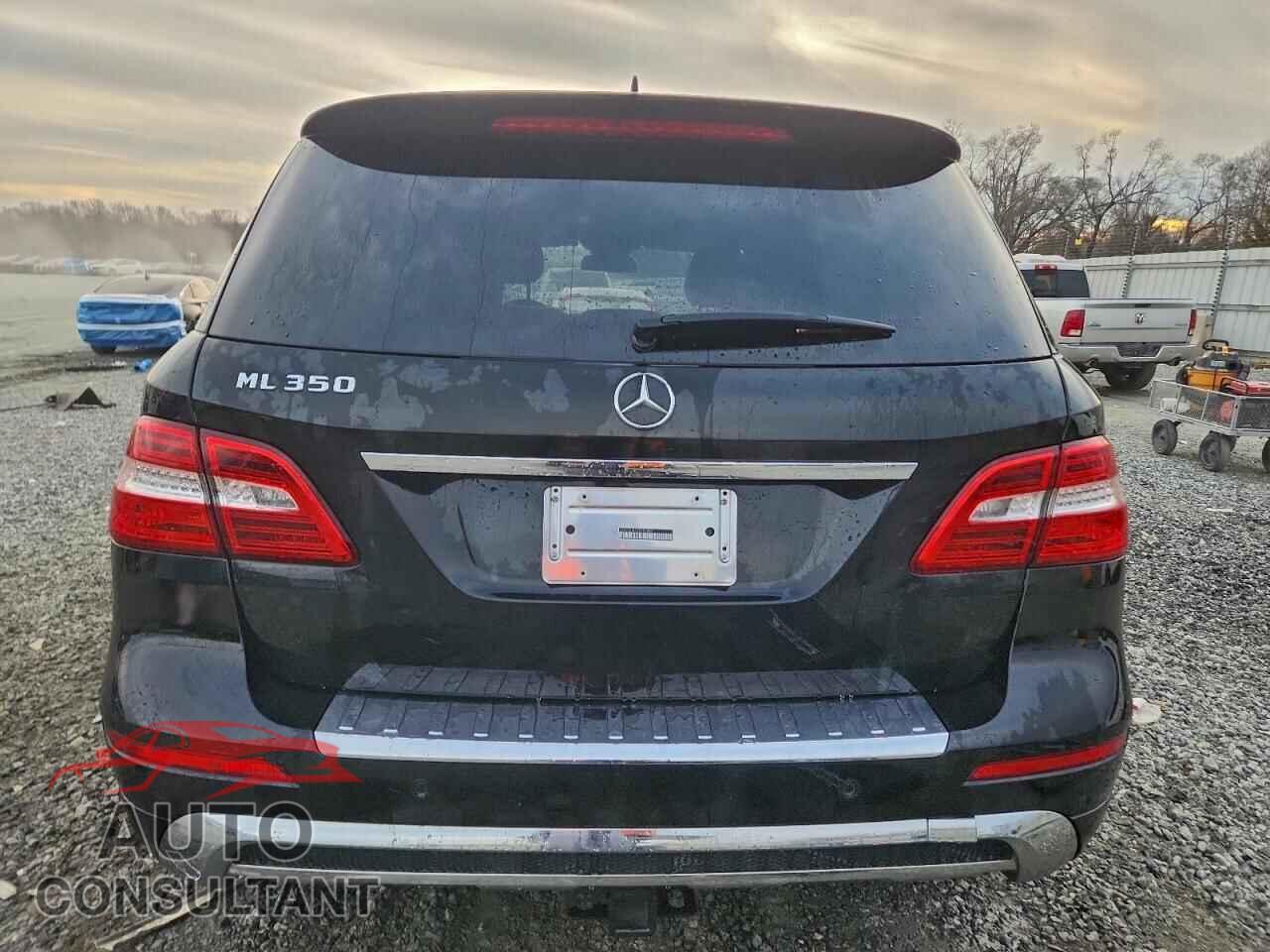 MERCEDES-BENZ M-CLASS 2014 - 4JGDA5JB2EA391807