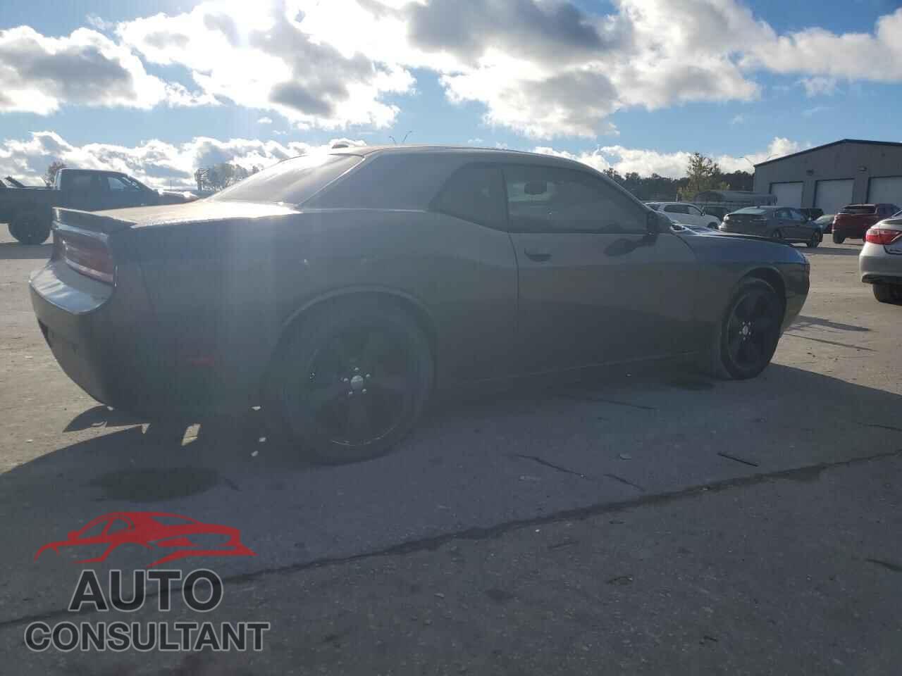 DODGE CHALLENGER 2013 - 2C3CDYBT3DH712595