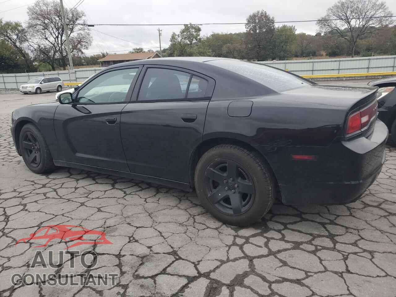 DODGE CHARGER 2013 - 2C3CDXAT4DH737677