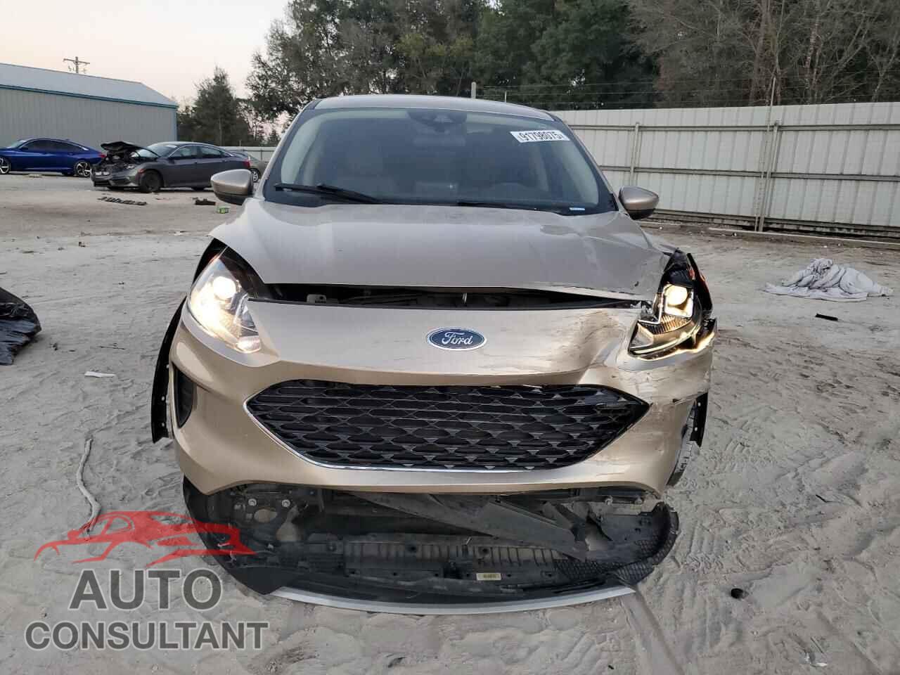 FORD ESCAPE 2020 - 1FMCU9G65LUA84616