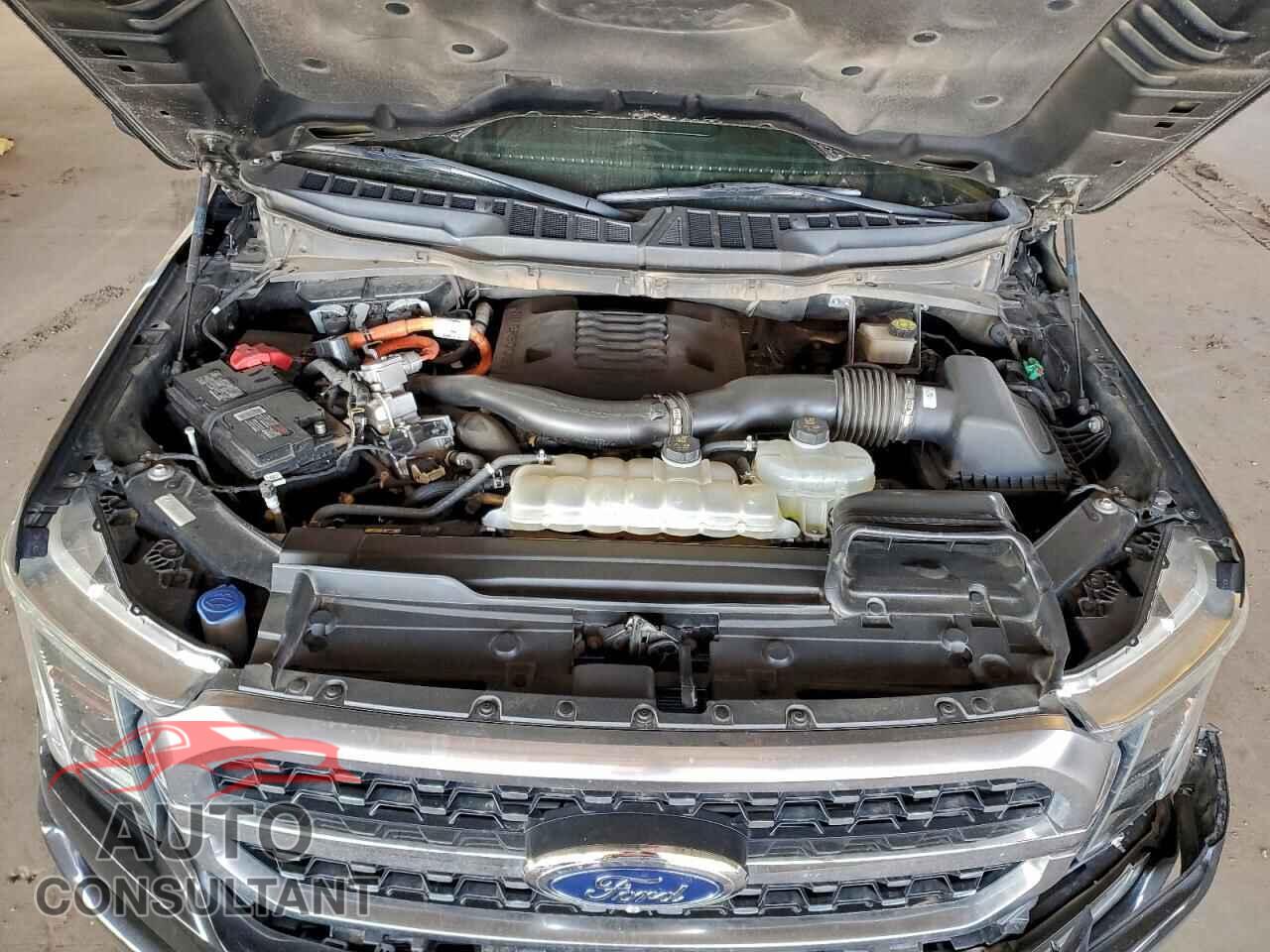FORD F-150 2021 - 1FTFW1ED9MFB62867